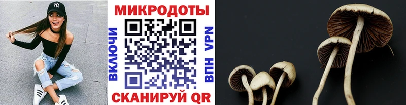 Галлюциногенные грибы ЛСД  кракен маркетплейс  Кирсанов 
